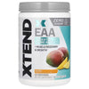 XTEND EAA (40 SERVS)